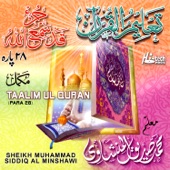 Surah Al Munafiqoon artwork