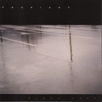 Prurient - Sorry Robin