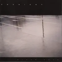 Sorry Robin — Prurient