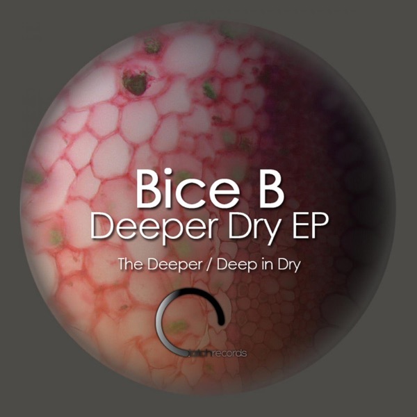 Deeper Dry - Single