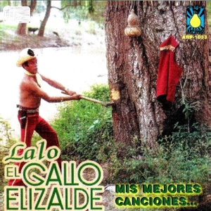 Mis Mejores Canciones