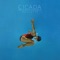 Psycho Thrills - Cicada lyrics