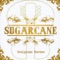 Evening Rain - Sugarcane lyrics