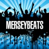 The Merseybeats artwork