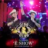 Gino & Geno - Tô Voltando (Ao Vivo)