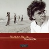 Victor Valls