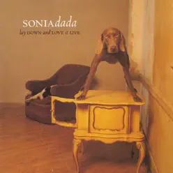Lay Down and Love It (Live) - Sonia Dada