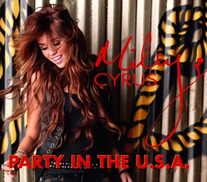 Party In The USA Artwork