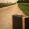 Annie's Song - Thad Fiscella lyrics