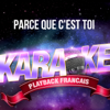 Parce que c'est toi (Karaoké Playback Instrumental) [Rendu célèbre par Axelle Red] - Karaoké Playback Français