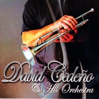 David Cedeno & His Orchestra - Cuando Se Acabe La Rumba