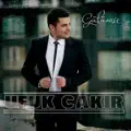 Aşk Dilimi