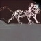 or ジャケット写真