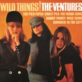 The Ventures - Wild Trip