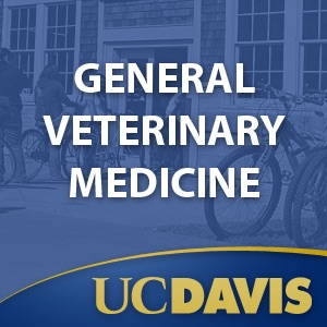 General Veterinary Medicine cover