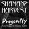 Dragonfly (Unplugged Radio Edit) - Shaman's Harvest lyrics