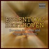 Beethoven: Anthology Vol. 15 artwork