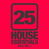25 House Essentials 2013, Vol. 1 artwork