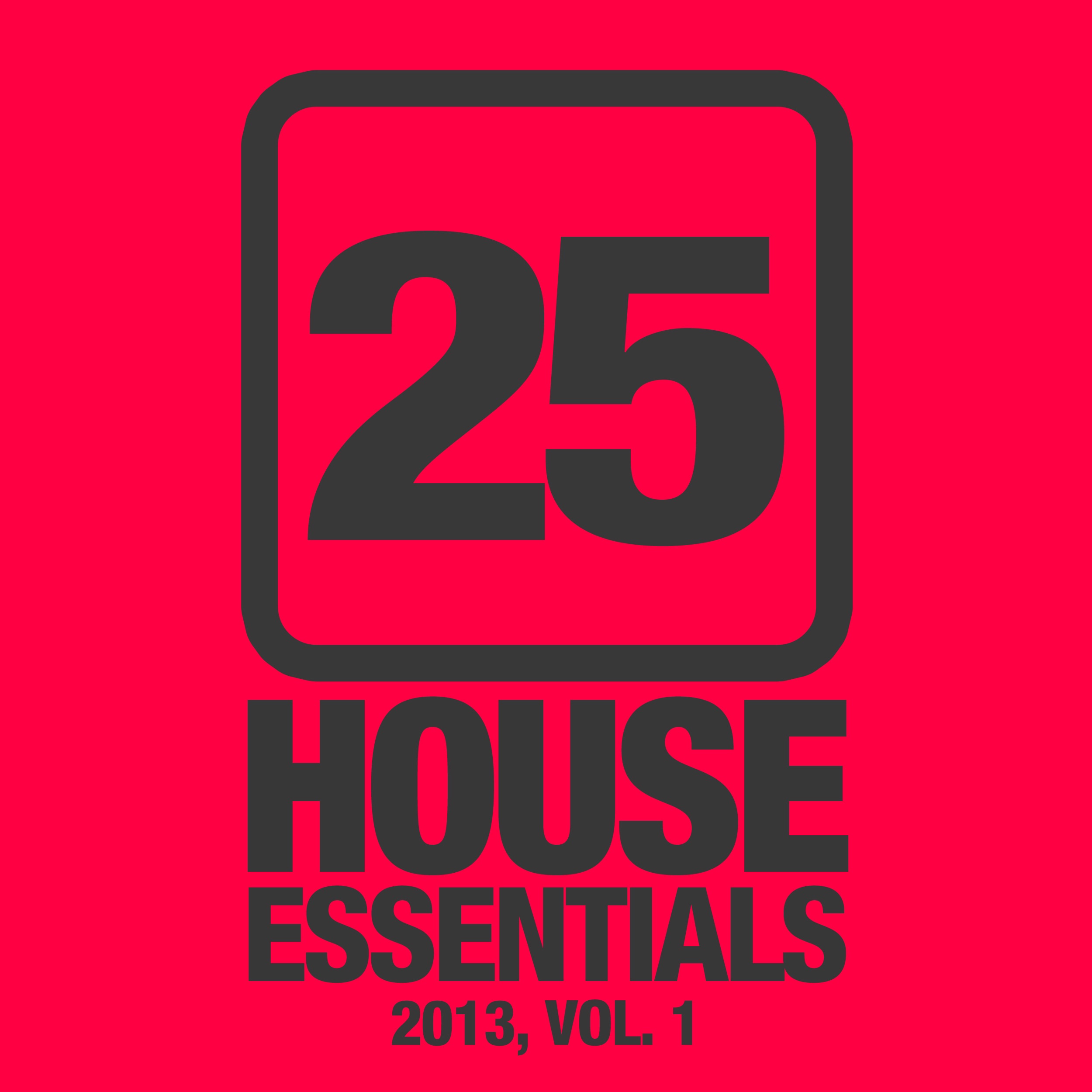 25 House Essentials 2013, Vol. 1