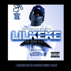 Stop Then Look Flow Swishahouse & Lil' Keke