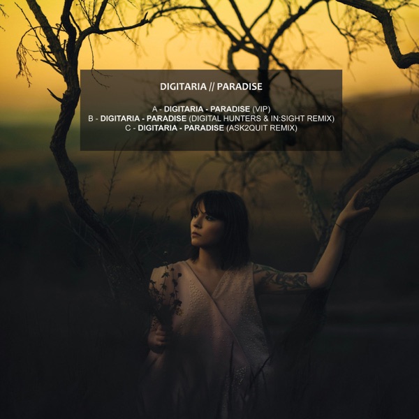 Paradise Remixes - Single