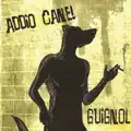 IL TORTO