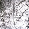 Eagulls