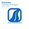 Coming to Prague (UDM Remix) - Pizz@dox lyrics