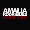 Amália Rodrigues - Fado Gingão
