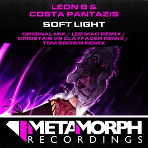 Soft Light (Remixes)