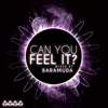 Can You Feel It? Mixed By Baramuda (Incl. 3 Non Stop DJ Mixes By Baramuda)