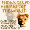 Stream & download Endangered Animals of the World: Authentic Sounds of Nature's Rarest Species