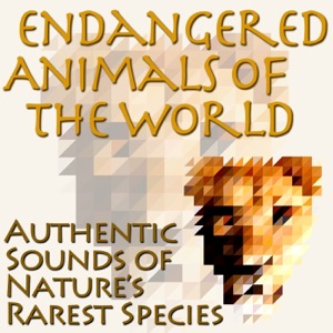 Endangered Animals of the World: Authentic Sounds of Nature's Rarest Species