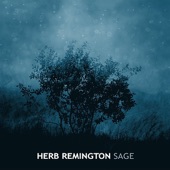 Herb Remington - Remington's Ride