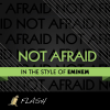 Not Afraid - (Originally Performed By Eminem ) [Karaoke / Instrumental] - Flash
