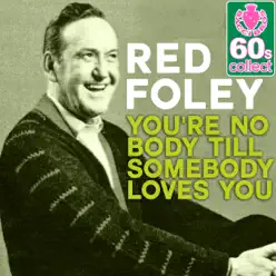 You're Nobody Till Somebody Loves You (Remastered) - Single - Red Foley