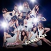 predia - Crazy Cat