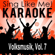 Palzlied (Karaoke Version) [Originally Performed By Anonyme Giddarischde] - La-Le-Lu