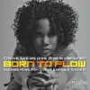 Groove Junkies - Born To Flow (feat. Baskerville Jones) [Shane D Remix]