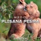 Plisana Pesma - M.E.D.O. lyrics
