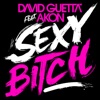 Sexy Bitch (feat. Akon) - Single, 2009