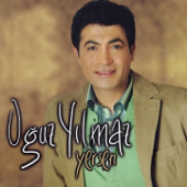 Erik Dalı