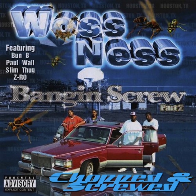 Da Game Done Changed - Album by Woss Ness - Apple Music