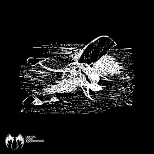Void Destroyer