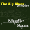Magic Sam (The Big Blues Collection) - Magic Sam
