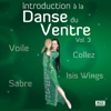 Introduction à la Danse du Ventre Vol. 3, 2012