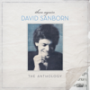 Then Again: The Anthology - David Sanborn