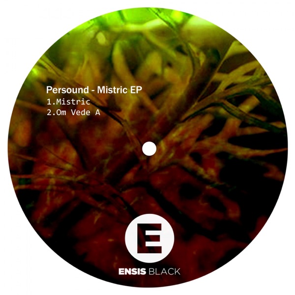 Mistric - Single