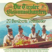 Lustig Ist Das Tirolerleben - 20 Berühmte Volkslieder artwork