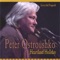 Doryj Vechir Tobi - Peter Ostroushko lyrics